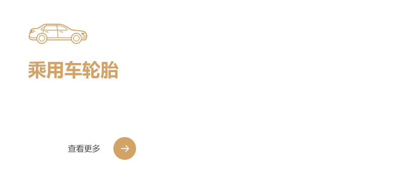 chengyongche-2