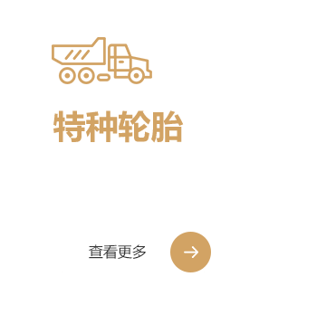 tezhongluntai-2